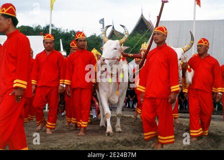 La cérémonie royale de labourage est un ancien rituel de Brahman qui se tient chaque année à Bangkok à Sanam Luang, en face du Grand Palais. L'événement est exécuté pour obtenir un démarrage propice à la saison de croissance du riz. Le champ de Sanam Luang est semé de graines bénies par le roi. Les agriculteurs collectent ensuite les graines pour les replanter dans leurs propres champs. Cette cérémonie se tient également au Cambodge et au Sri Lanka. Banque D'Images