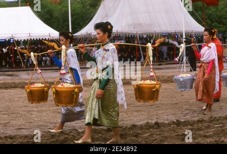 La cérémonie royale de labourage est un ancien rituel de Brahman qui se tient chaque année à Bangkok à Sanam Luang, en face du Grand Palais. L'événement est exécuté pour obtenir un démarrage propice à la saison de croissance du riz. Le champ de Sanam Luang est semé de graines bénies par le roi. Les agriculteurs collectent ensuite les graines pour les replanter dans leurs propres champs. Cette cérémonie se tient également au Cambodge et au Sri Lanka. Banque D'Images