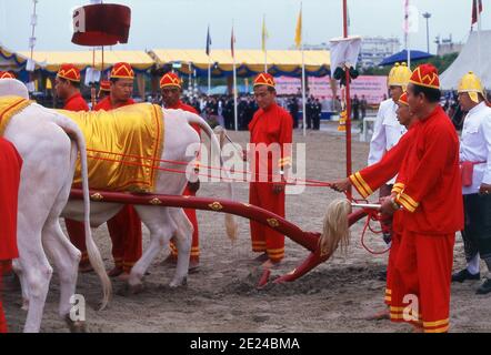 La cérémonie royale de labourage est un ancien rituel de Brahman qui se tient chaque année à Bangkok à Sanam Luang, en face du Grand Palais. L'événement est exécuté pour obtenir un démarrage propice à la saison de croissance du riz. Le champ de Sanam Luang est semé de graines bénies par le roi. Les agriculteurs collectent ensuite les graines pour les replanter dans leurs propres champs. Cette cérémonie se tient également au Cambodge et au Sri Lanka. Banque D'Images