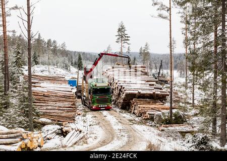 Crane loading logs on lorry Stock Photo