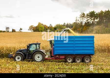 Tracteur sur le terrain pendant la récolte Banque D'Images