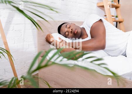 Homme afro-américain dormant au lit près de la plante sur brouillé premier plan Banque D'Images