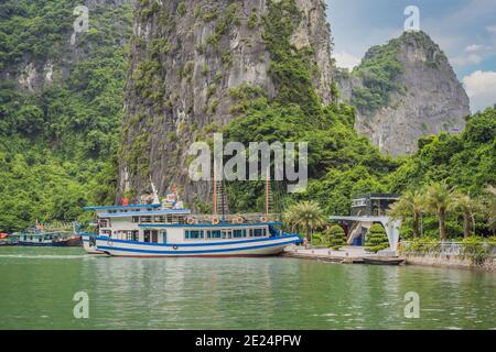 Bateaux de croisière et îles à Halong Bay, Vietnam Banque D'Images