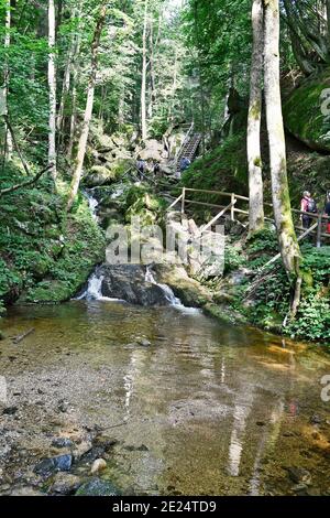 Yspertal, Autriche - 25 août 2019 : marcheurs non identifiés le long de passerelles en bois dans la gorge d'Ysperklamm, un monument naturel dans le waldviertel, une partie Banque D'Images