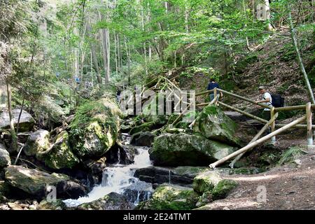 Yspertal, Autriche - 25 août 2019 : marcheurs non identifiés le long de passerelles en bois dans la gorge d'Ysperklamm, un monument naturel dans le waldviertel, une partie Banque D'Images