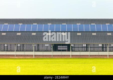 Panneaux solaires sur une nouvelle grange agricole aux pays-Bas Banque D'Images