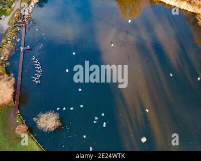 Amstelpark à Amsterdam comme vue d'en haut, pays-Bas Banque D'Images