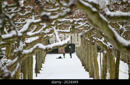 Darmstadt, Allemagne. 12 janvier 2021. Il y a de la neige sur les arbres et les chemins dans la bocage d'arbres de l'avion sur Mathildenhöhe. Credit: Arne Dedert/dpa/Alay Live News Banque D'Images