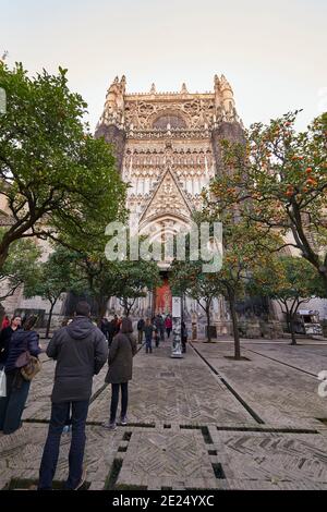 Séville, Andalousie, Espagne, Europe. Le patio de los Naranjos, ou cour de l'Orange Tree, fait partie de la cathédrale Santa Maria de la Sede de Séville. Banque D'Images