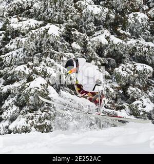 Skieur mâle skier sur de la neige poudreuse fraîche avec de beaux arbres enneigés en arrière-plan. Homme freerider dans des lunettes de ski faisant sauter tout en glissant sur des pistes enneigées. Concept des sports d'hiver Banque D'Images