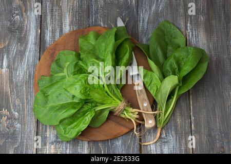 Bouquet d'épinards frais aux racines sur une table en bois. Style rustique. Banque D'Images