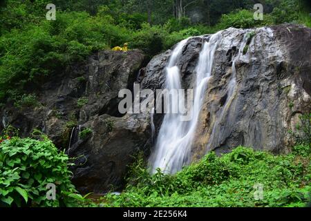 Chutes d'eau de tigre à Bodimettu, Tamilnadu Banque D'Images