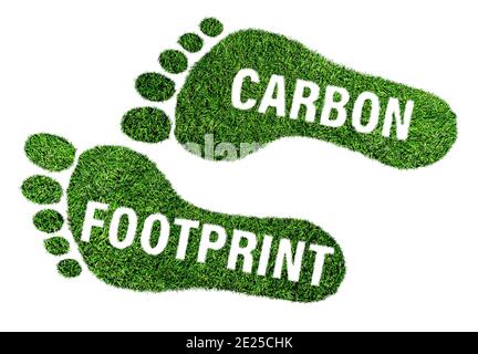 concept d'empreinte carbone, empreinte pieds nus en herbe verte luxuriante avec texte isolé sur fond blanc Banque D'Images