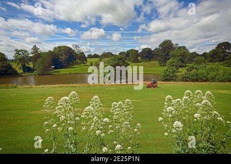 Le lac et les prairies sur le domaine du château de Ripley à Ripley, North Yorkshire.Man assis sur une tondeuse à gazon motorisée coupant du gras. Banque D'Images