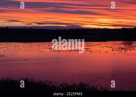 Sunrise North Cave Wetlands Banque D'Images