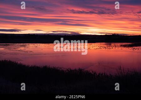 Sunrise North Cave Wetlands Banque D'Images