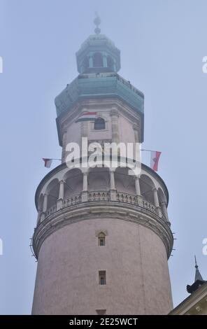 Feu à Sopron, en Hongrie, un matin froid et brumeux Banque D'Images