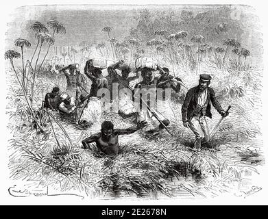 Passage à gué dans la Tchisera ford. Les derniers journaux de David Livingstone missionnaire et explorateur écossais, 1866-1873. Ancienne gravure El Mundo en la Mano 1878 Banque D'Images