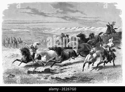 Des gauchos argentins qui arrondisent les chevaux sauvages à Lauramarca, au Pérou. Amérique du Sud. Voyage à la Vallée des Quinas par Paul Marcoy. Ancienne gravure El Mundo en la Mano 1878 Banque D'Images