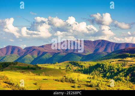 paysage rural montagneux au printemps. beau paysage sous un ciel avec des nuages. colline couverte d'herbe se déroulant dans la crête lointaine Banque D'Images