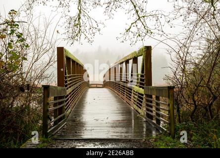 OR02587-00...OREGON - UN jour de pluie sur le sentier de la rivière Netul le long des rives de la rivière Lewis et Clark. Banque D'Images