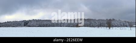 Vue panoramique sur la plaine d'Auvergne et la forêt sous l' neige Banque D'Images