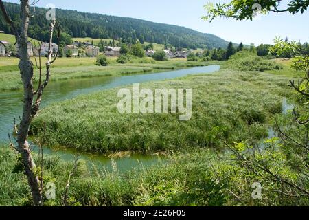 Der Mündungsbereich der Orbe in den Lac de Joux, ein Flachmoor von nationaler Bedeutung Banque D'Images