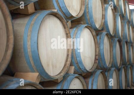 Mise au point sélective de fûts de vin dans une cave à vin Banque D'Images