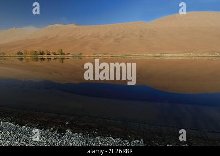 Le lac Sumu Jaran, la mégadune occidentale qui reflète l'eau, le désert de Badain Jaran. Mongolie intérieure-Chine-1201 Banque D'Images