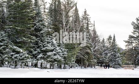 Montebello, Canada - 2 janvier 2021 : vue imprenable sur le champ de neige dans le parc Omega Banque D'Images