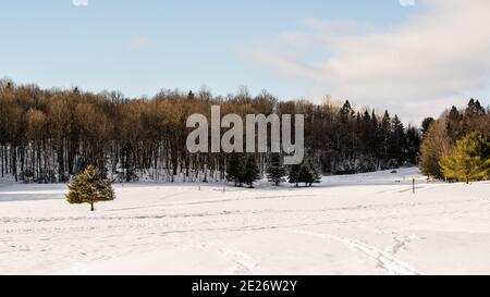 Montebello, Canada - 2 janvier 2021 : vue imprenable sur le champ de neige dans le parc Omega Banque D'Images