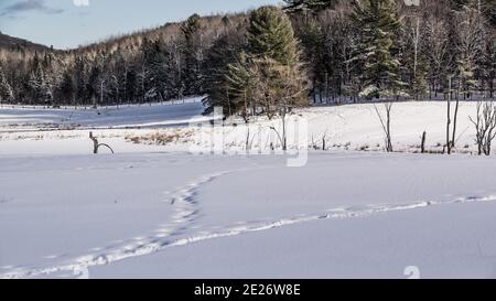 Montebello, Canada - 2 janvier 2021 : vue imprenable sur le champ de neige dans le parc Omega Banque D'Images