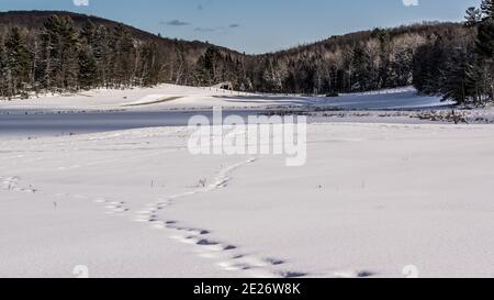 Montebello, Canada - 2 janvier 2021 : vue imprenable sur le champ de neige dans le parc Omega Banque D'Images