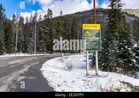 Panneau d'avertissement faune et flore dans la région. Route de montagne de Mount Norquay Scenic Drive. Parc national Banff, Rocheuses canadiennes, Alberta, Canada. Banque D'Images