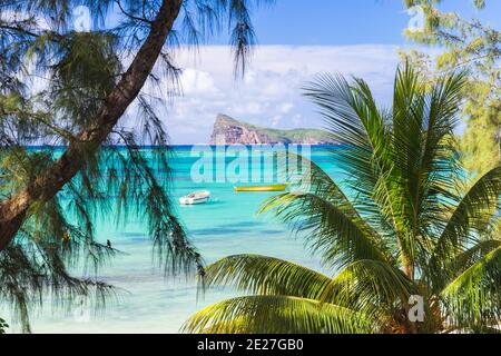 Belle plage tropicale et mer avec cocotier sur le palmier Ciel bleu sur l'île de Maurtius - traitement des couleurs renforcé Banque D'Images