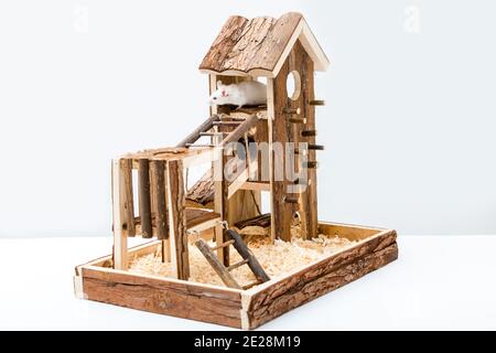 Terrain de jeu en bois naturel pour rongeurs sur fond blanc. Maison de vie naturelle pour hamsters, gerbilles, souris Banque D'Images