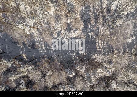 Sentier d'hiver menant à travers une forêt blanche et enneigée capturée par un drone directement d'en haut - vue de dessus en bas. Banque D'Images