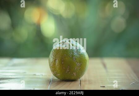 grands citrons juteux bons pour une limonade Banque D'Images