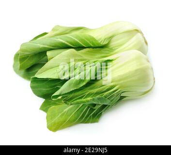 Chou blanc de pak choi frais sur les fonds blancs. Banque D'Images