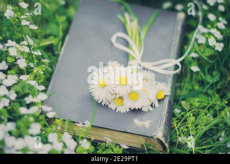 Bouquet de pâquerettes avec ruban blanc sur un vieux livre gris Banque D'Images