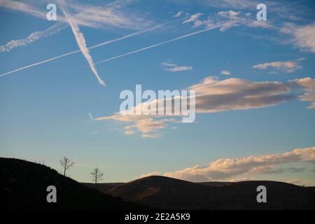 Deux silhouettes d'arbres brûlés sur la montagne avec du bleu ciel avec des nuages blancs et des contrails d'avions Banque D'Images