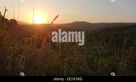 Un coucher de soleil derrière les montagnes avec des herbes au premier plan en été Banque D'Images