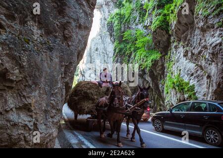 Fourgon de foin avec des chevaux traversant le canyon de Bicaz en Roumanie. Banque D'Images