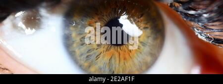 Personne avec un regard clair Banque D'Images