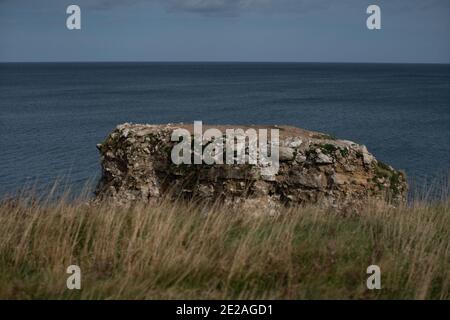 Marsden Rock et piles juste à l'extérieur de South Shields en septembre 2020 Banque D'Images