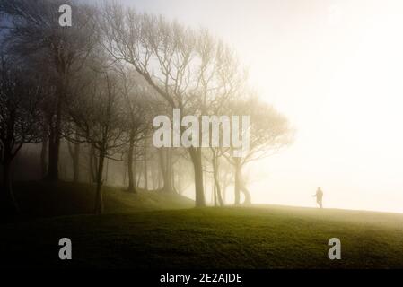 Un marcheur passe devant des arbres couverts de givre dans le brouillard de l'anneau de Chanctonbury, sur la South Downs Way, à Sussex. Photo ©Julia Claxton Banque D'Images