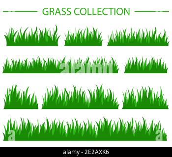 Collection d'herbe verte plate simple. Illustration vectorielle Illustration de Vecteur