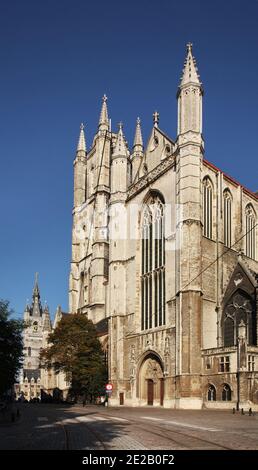 Cathédrale Saint-Bavo à Gand. Flandre. Belgique Banque D'Images