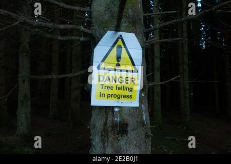 Panneau d'avertissement danger d'abattage d'arbre en cours - Écosse, Royaume-Uni Banque D'Images