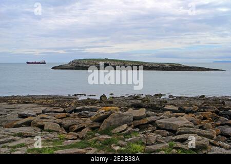 Ynys Moelfre Island, Moelfre, Anglesey Banque D'Images